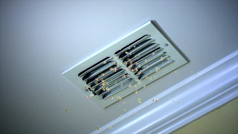 Best Home Air Vent Cleaning  in Laguna Hills, CA