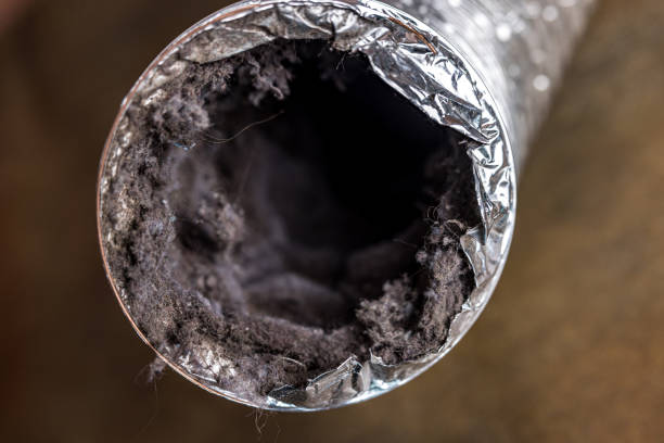 Best Local Air Duct Cleaning Services  in Laguna Hills, CA